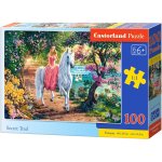 Puzzle Castorland Secret Trail 100 piese