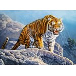 Puzzle Castorland Tiger on the Rock 180 piese
