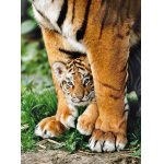 Puzzle Clementoni Bengal Tiger Baby 500 piese