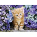 Puzzle Clementoni Cat in Flowers 500 piese