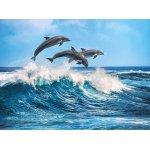 Puzzle Clementoni Dolphins 500 piese