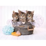 Puzzle Clementoni Kittens 500 piese