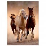 Puzzle Clementoni Wild Horses Galloping 1000 piese