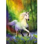 Puzzle Educa Chase The Rainbow. Anne Stokes 500 piese include lipici