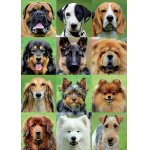 Puzzle Educa Dog collage 500 piese