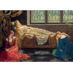 Puzzle Educa John Collier: Sleeping Beauty 1500 piese include lipici