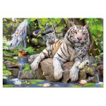 Puzzle Educa White Bengale Tigers 1000 piese include lipici puzzle