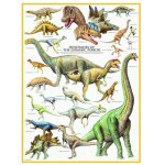 Puzzle Eurographics Dinosaurier des Jura 1000 piese