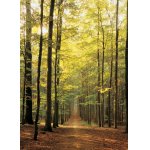 Puzzle Eurographics Forest Path 1000 piese