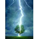 Puzzle Eurographics Lightning striking a tree 1000 piese