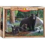 Puzzle Eurographics New Discoveries 1000 piese