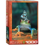 Puzzle Eurographics Red-Eyed Tree Frog 1000 piese