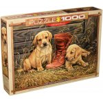 Puzzle Eurographics Rosemary Millette: Something Old Something New 1000 piese