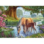 Puzzle Eurographics Steve Crisp: The Fell Ponies 1000 piese