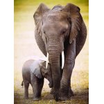 Puzzle Eurographics The Elephant and baby elephant 1000 piese