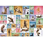 Puzzle Eurographics Yoga Cats 1000 piese