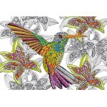 Puzzle de colorat Educa Hummingbird 300 piese include lipici puzzle