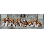 Puzzle panoramic Clementoni Beagles 1000 piese