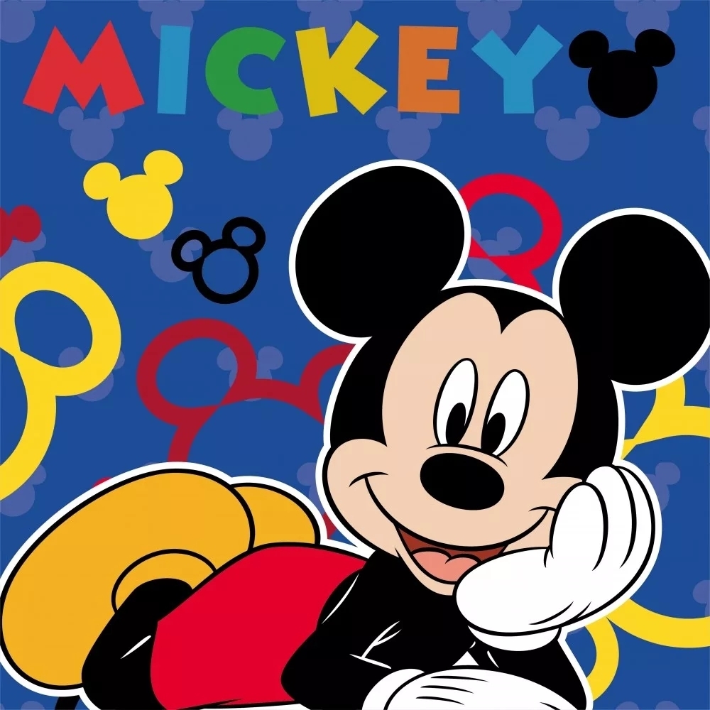 Prosopel magic Disney Mickey 30×30 cm SunCity 30x30 imagine noua responsabilitatesociala.ro