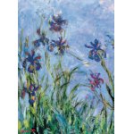 Puzzle Eurographics Claude Monet Iris 1.000 piese