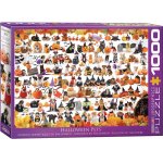 Puzzle Eurographics Halloween Puppies and Kittens 1.000 piese