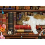 Puzzle Eurographics The Cat Nap 500 piese xxl
