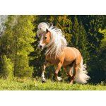 Puzzle Ravensburger Lucky Horse 1000 piese