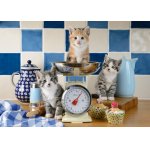 Puzzle Schmidt Cats In The Kitchen 500 piese