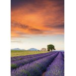 Puzzle Schmidt Field Of Lavender Provence 500 piese