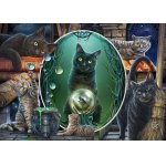 Puzzle Schmidt Lisa Parker: Magical Cats 1000 piese