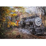 Puzzle Schmidt Railway Fascination 1000 piese