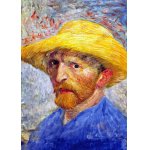 Puzzle TinyPuzzle Vincent Van Gogh: Self Portrait with Straw Hat 99 piese
