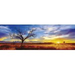 Puzzle panoramic Schmidt Desertul Oak in lumina apusului 1000 piese