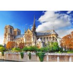 Puzzle Bluebird Puzzle Cathedrale Notre-Dame de Paris 1.000 piese
