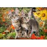Puzzle Castorland Kitten Buddies 1500 piese