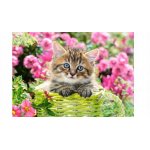 Puzzle Castorland Kitten In Flower Garden 500 piese