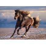 Puzzle Clementoni Horse in Freedom 1.000 piese