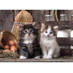 Puzzle Clementoni Kittens 1.000 piese