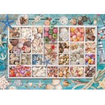 Puzzle Eurographics Lauras Seashell Collection 1.000 piese