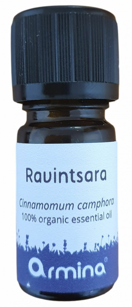 Ulei esential de ravintsara (cinnamomum camphora) pur bio 5ml Armina (cinnamomum imagine noua responsabilitatesociala.ro