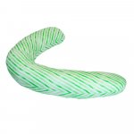 Perna gravida green stripes
