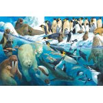 Puzzle Schmidt Animals Of The Polar Regions 100 piese