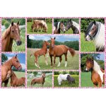 Puzzle Schmidt Beautiful Horses 150 piese