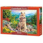 Puzzle Castorland New Generation 1000 piese