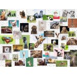 Puzzle Ravensburger Colaj Cu Animale 1500 piese
