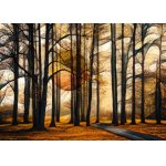 Puzzle Schmidt Magical Forest 1.000 piese
