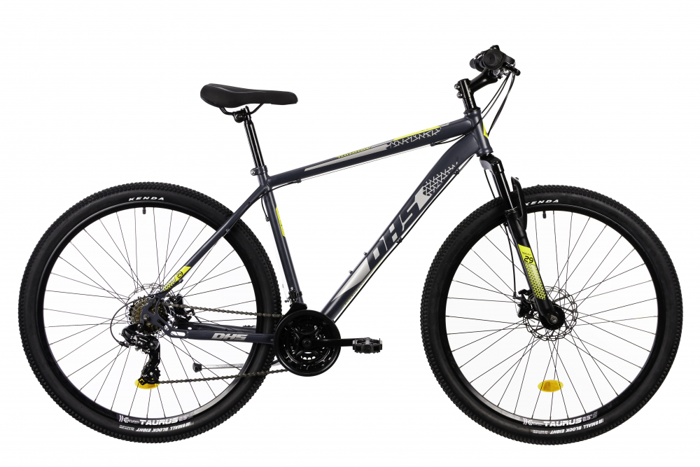 Bicicleta Mtb Terrana 2905 gri 29 inch L DHS imagine noua responsabilitatesociala.ro