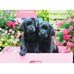 Puzzle 500 piese XXL Black Labs in Pink Box