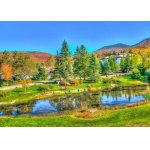 Puzzle Bluebird Stowe Vermont Usa 1000 piese