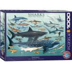 Puzzle Eurographics Sharks 1000 piese